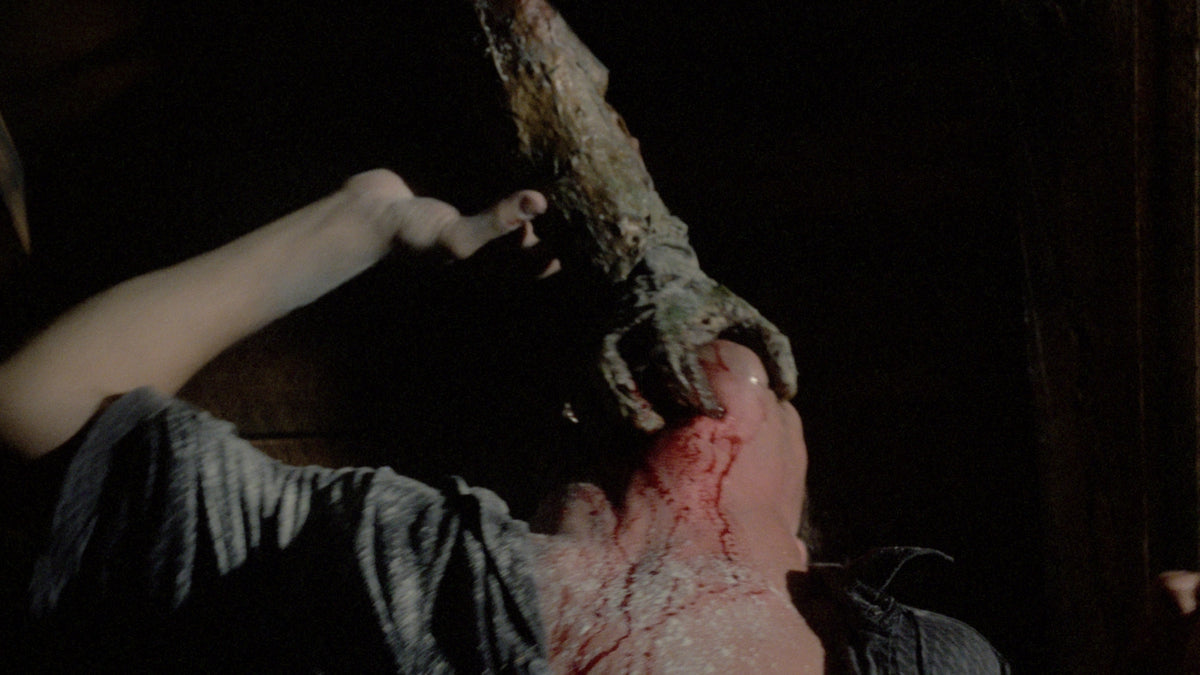 Zombie 5: Killing Birds