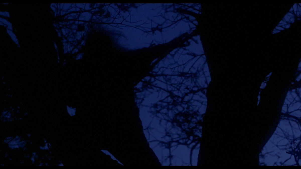 Madman (UHD)