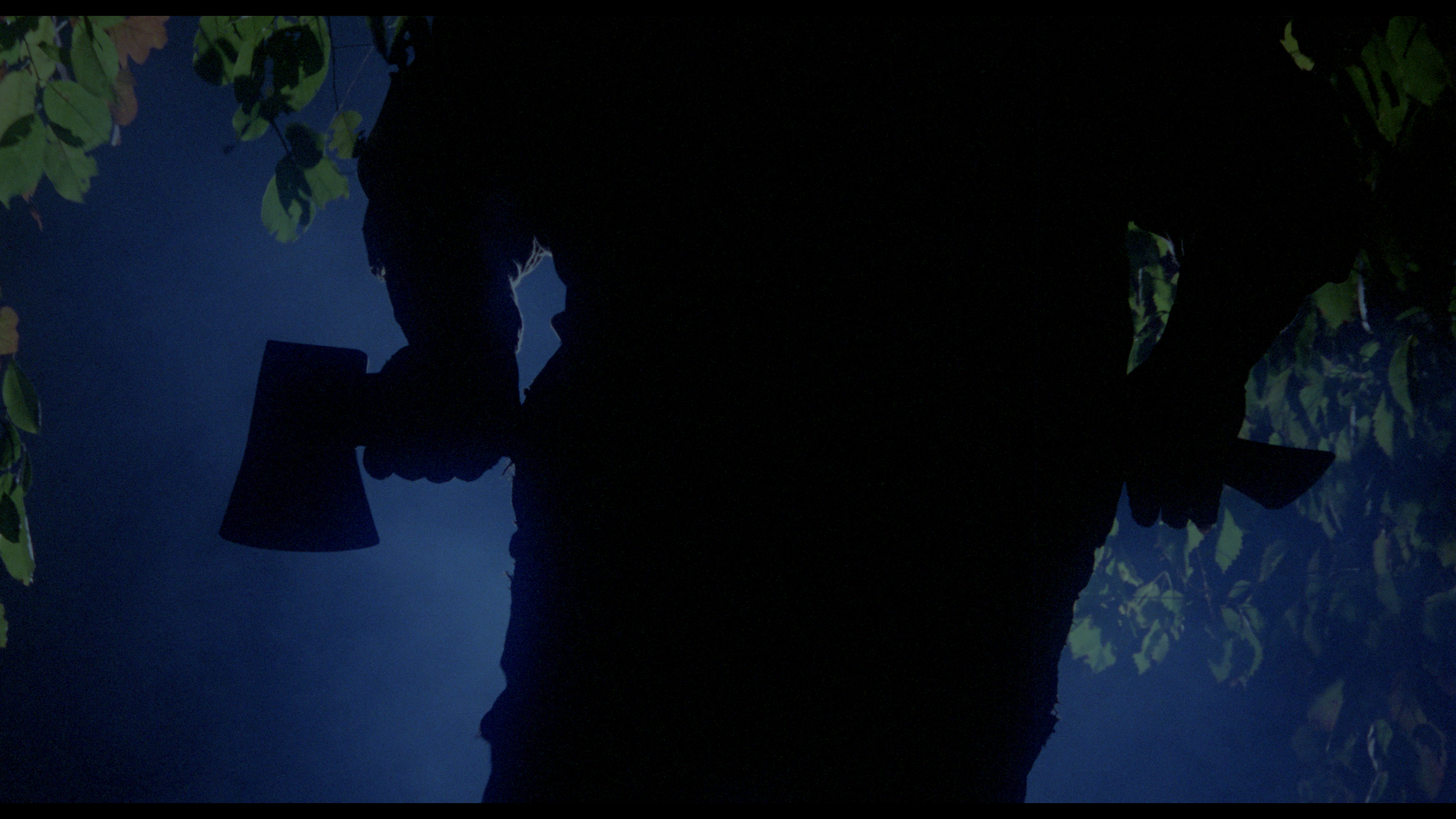 Madman: Uma das cópias mais agressivas de Sexta-Feira 13