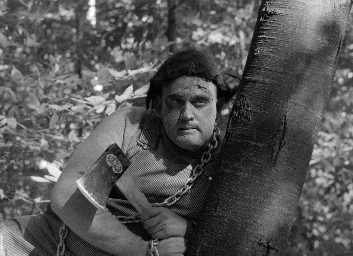 The Monster of Camp Sunshine & Honeymoon of Terror
