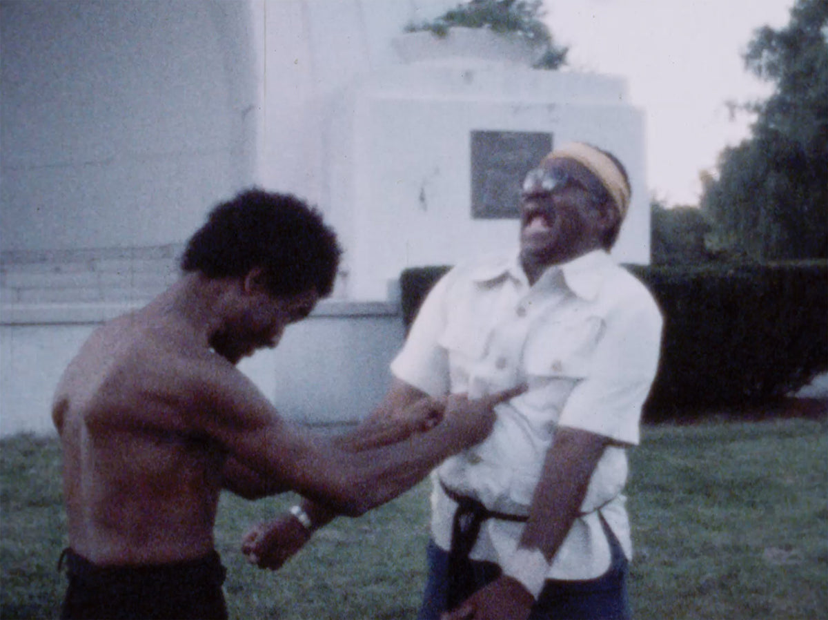 Treasure of the Ninja and the Films of William Lee