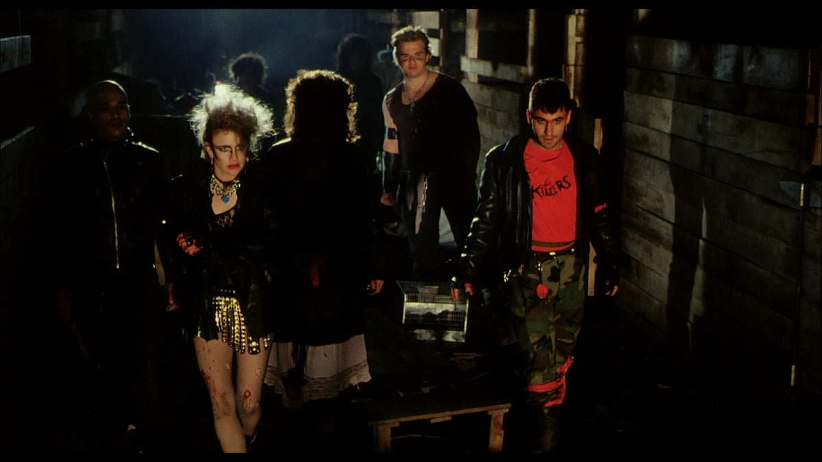 Punk Vacation