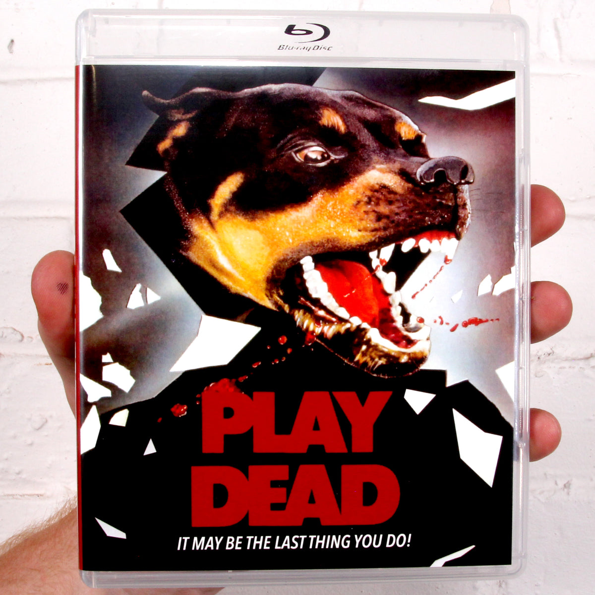 Play Dead