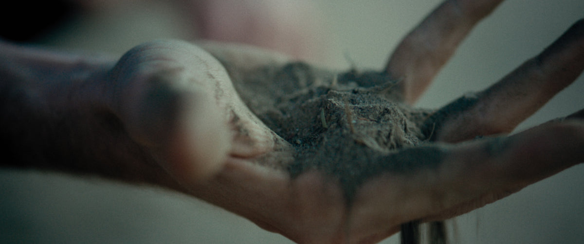 Something in the Dirt