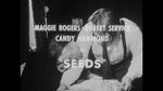 Andy Milligan's Seeds / Vapors