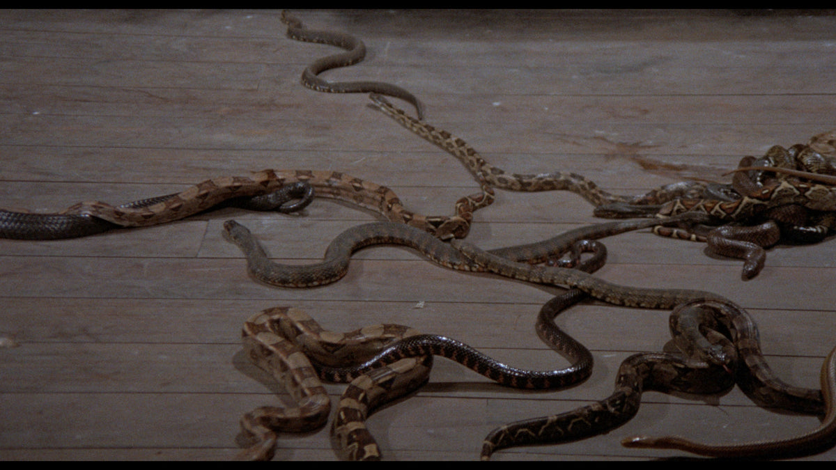 Horror High / Stanley