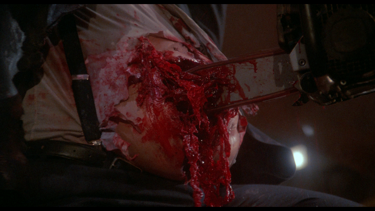 The Texas Chainsaw Massacre 2