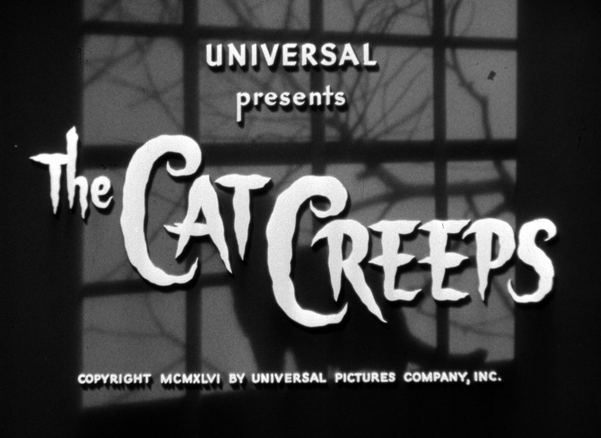 The Cat Creeps