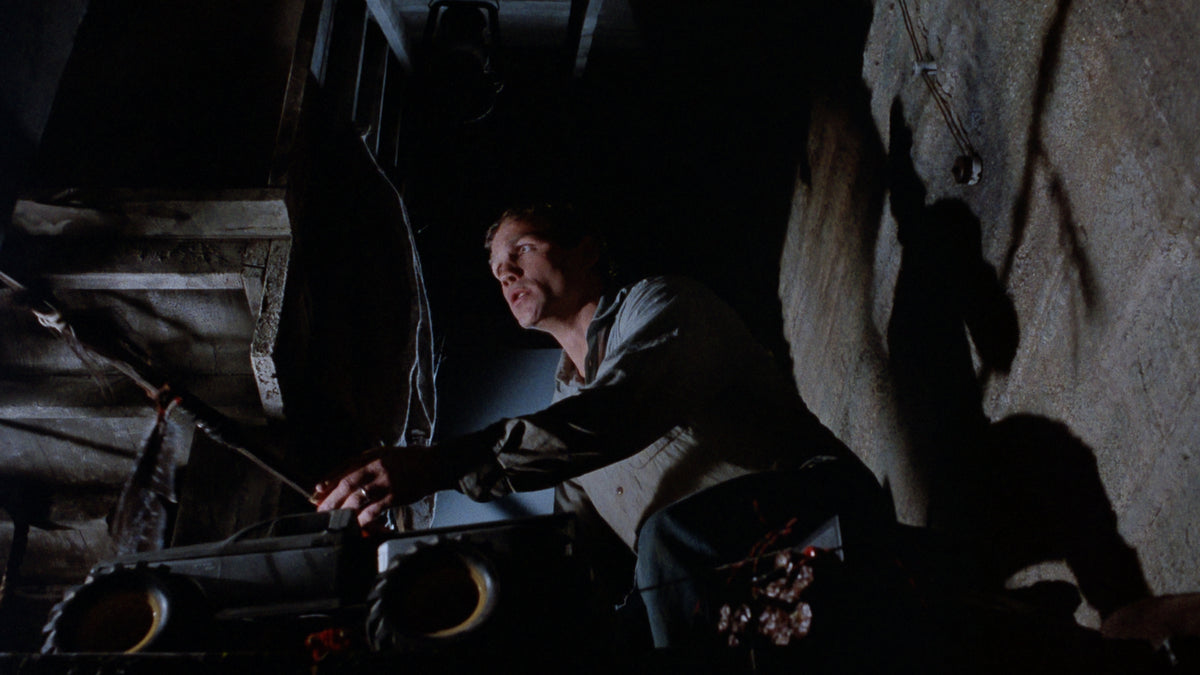 The Cellar