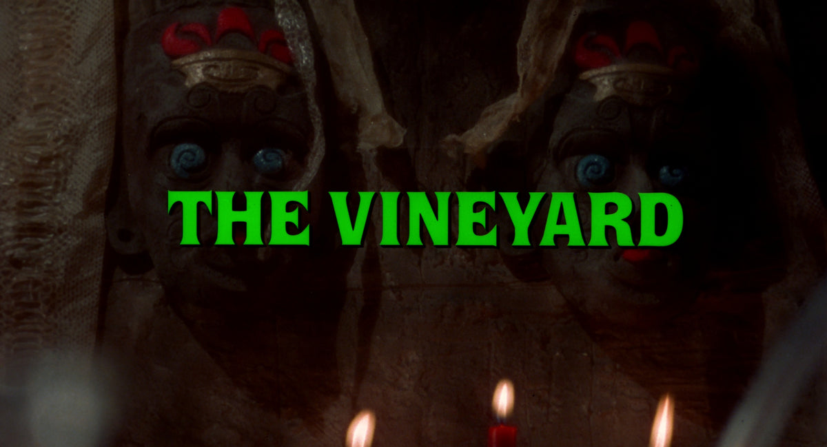 The Vineyard