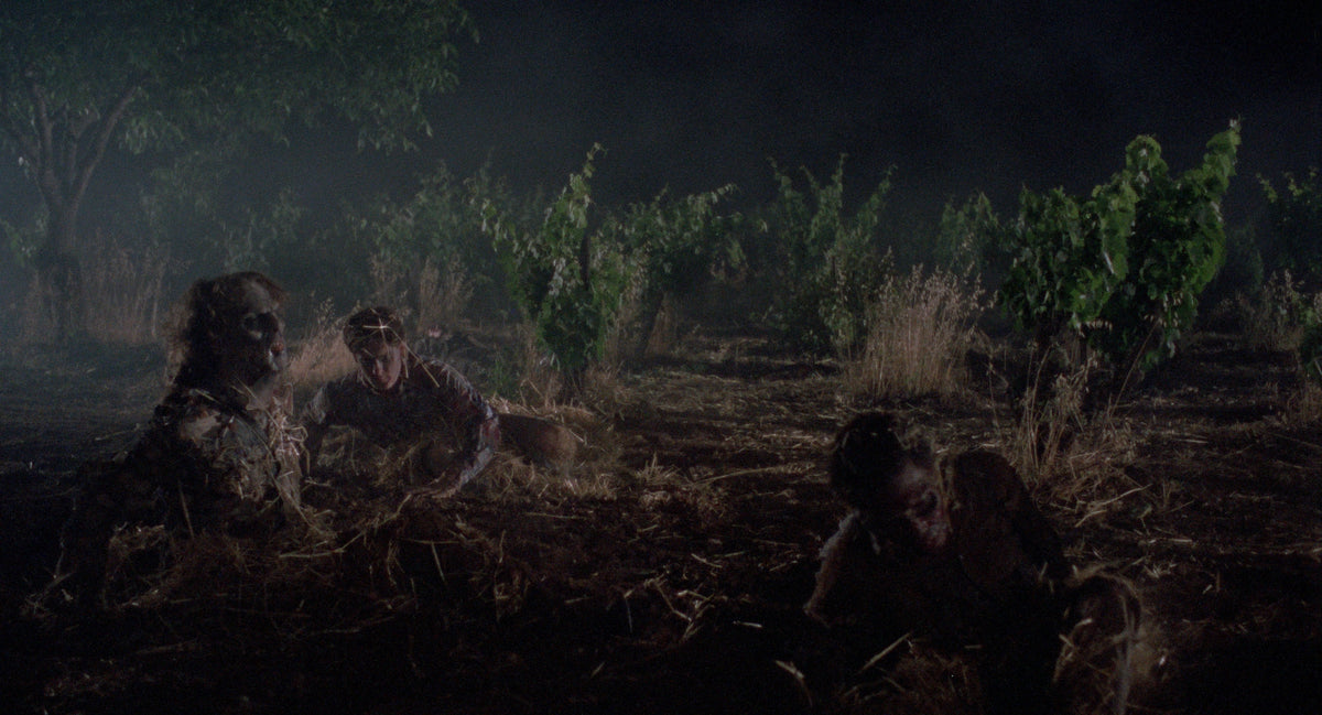 The Vineyard