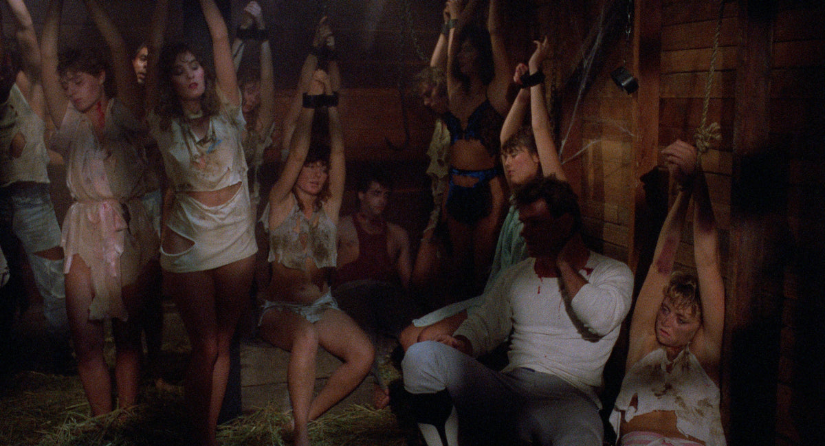The Vineyard