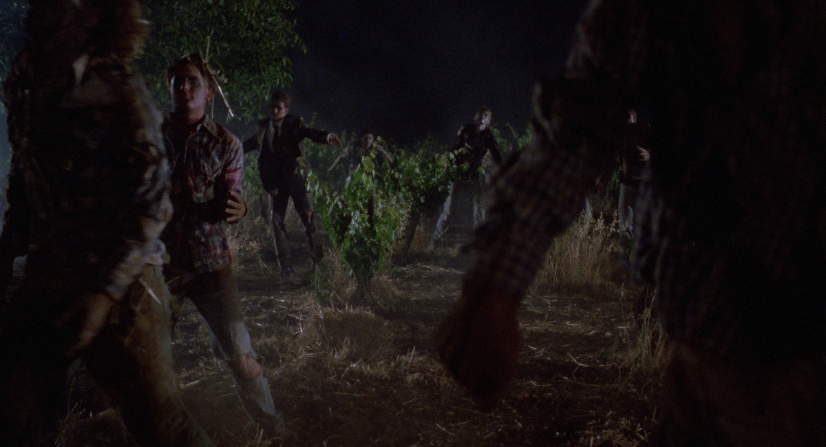 The Vineyard