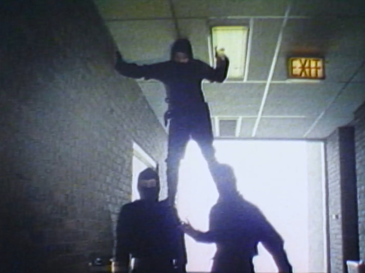 Treasure of the Ninja and the Films of William Lee