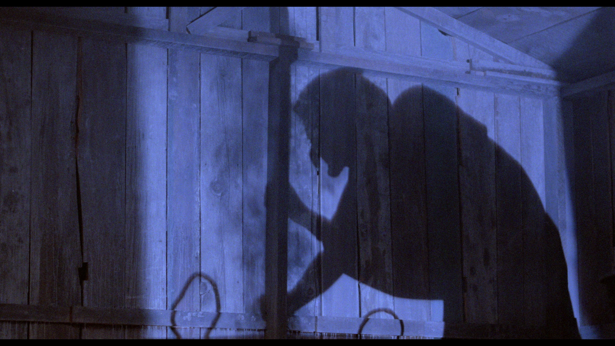 Mexican Gothic: The Films of Carlos Enrique Taboada