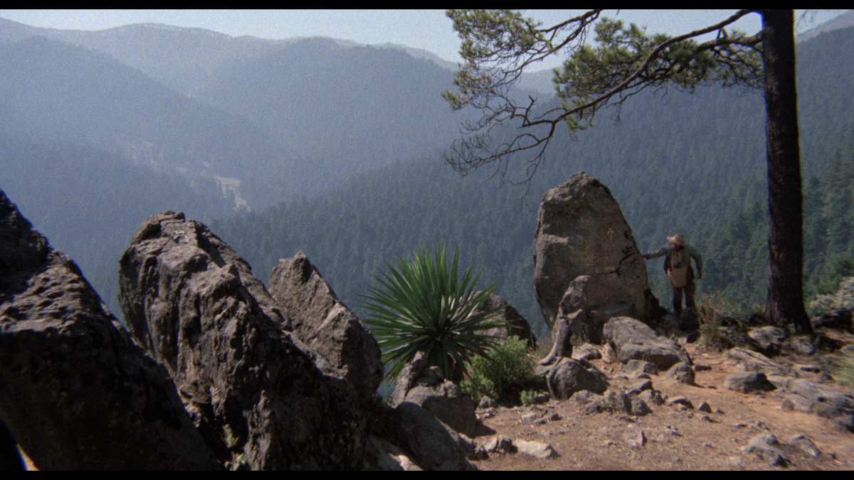 Mexican Gothic: The Films of Carlos Enrique Taboada