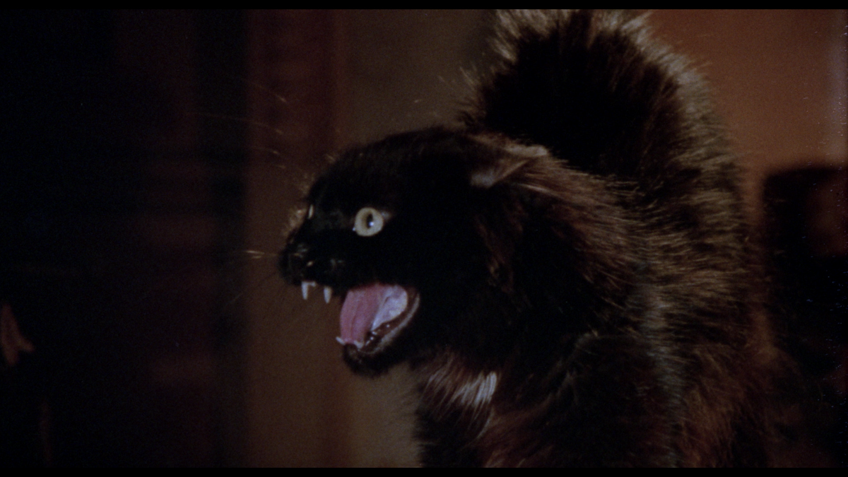 Mexican Gothic: The Films of Carlos Enrique Taboada