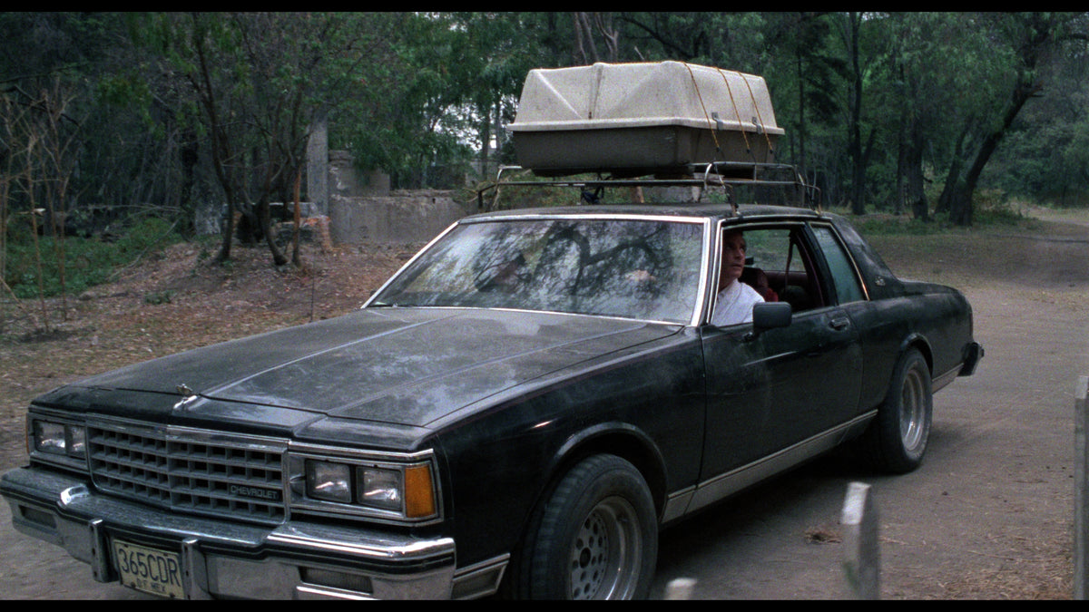 Vacation of Terror 1 & 2