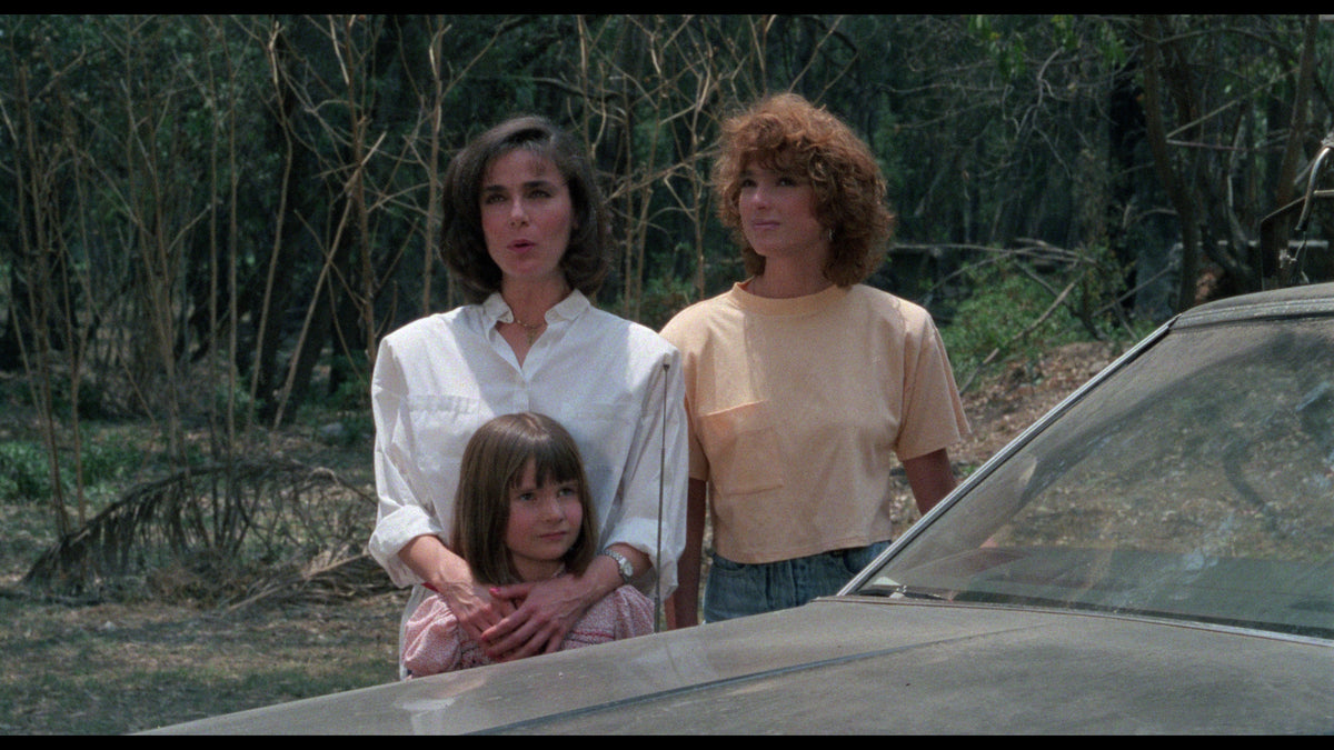 Vacation of Terror 1 & 2