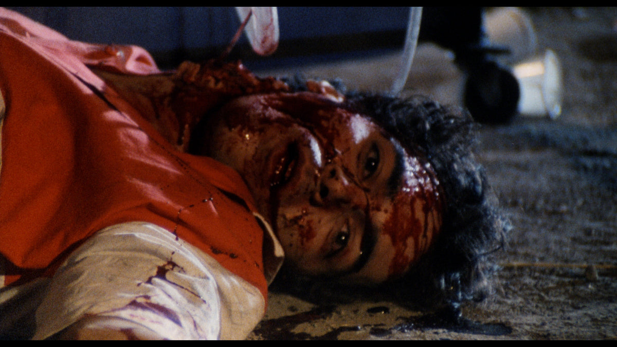 Vacation of Terror 1 & 2