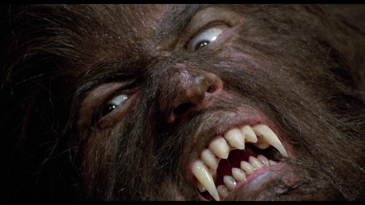 The Werewolf Versus The Vampire Woman