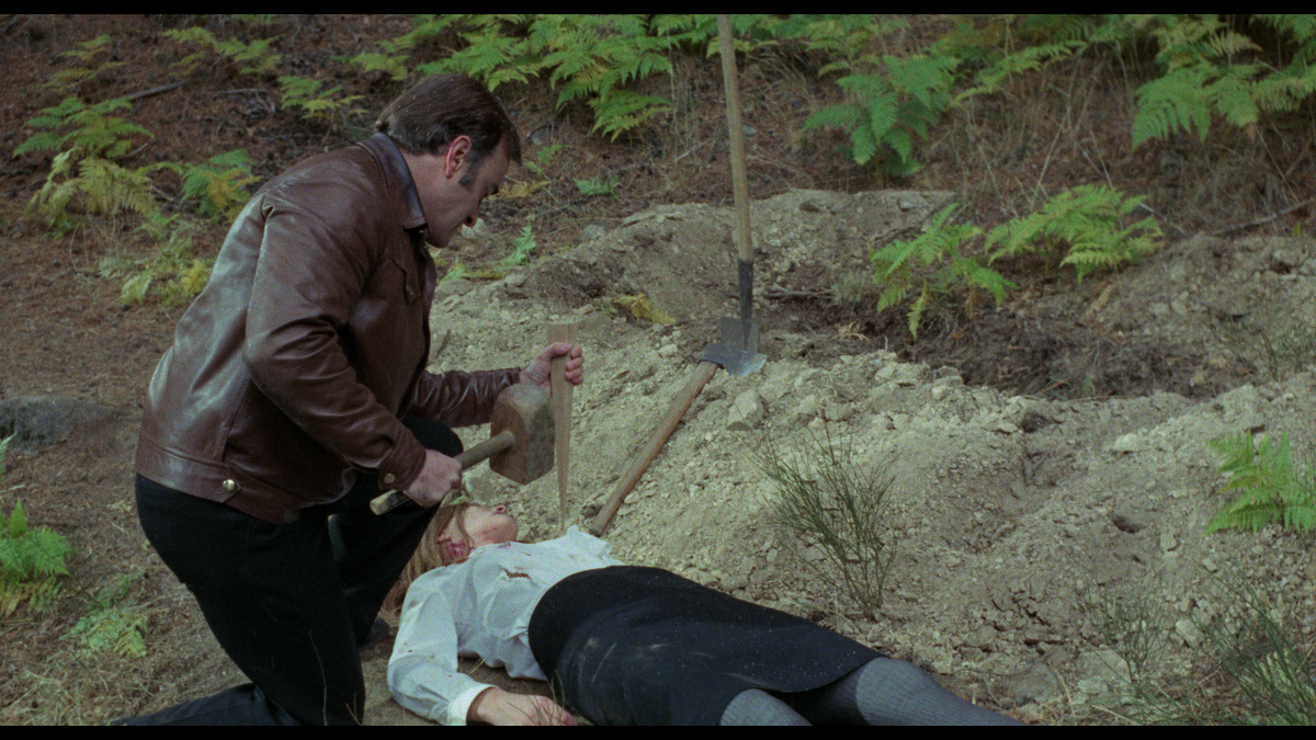 The Werewolf Versus The Vampire Woman