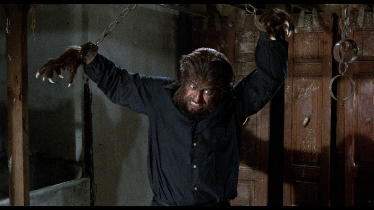 The Werewolf Versus The Vampire Woman