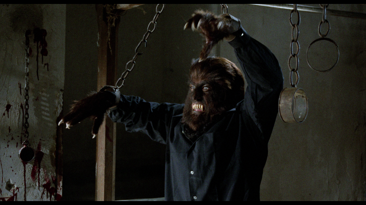 The Werewolf Versus The Vampire Woman