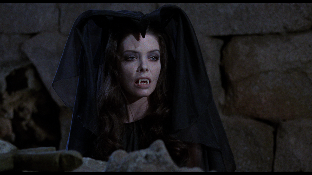 The Werewolf Versus The Vampire Woman