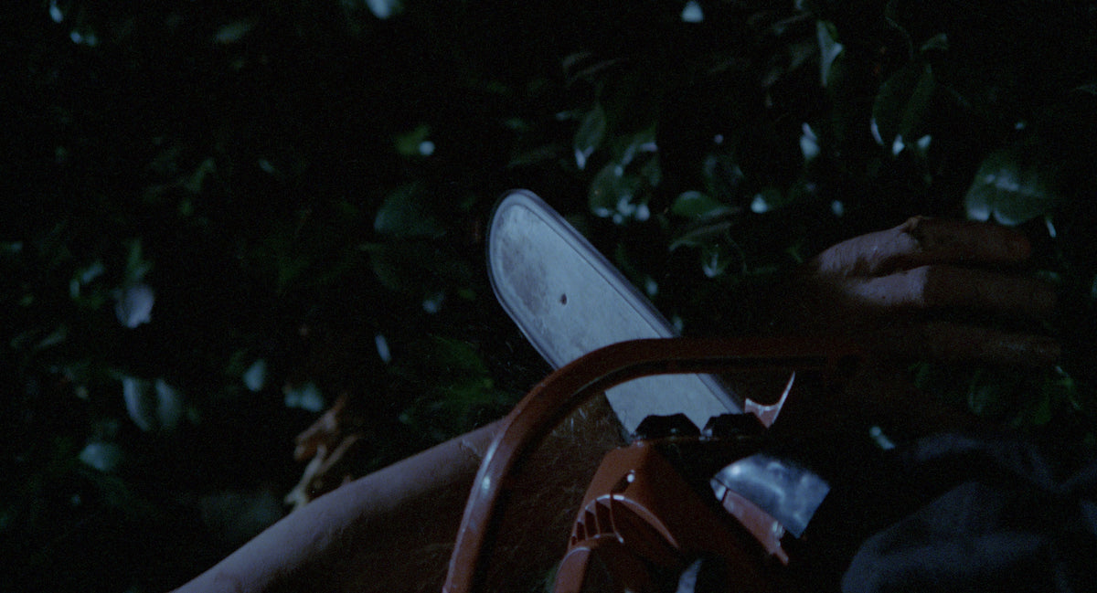 Whodunit (aka Island of Blood)