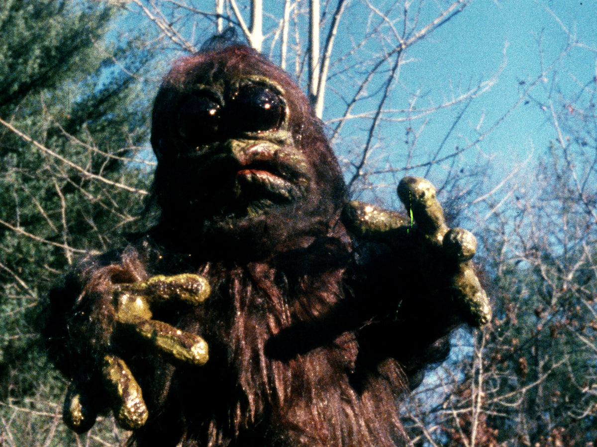 Home Grown Horrors: Volume One