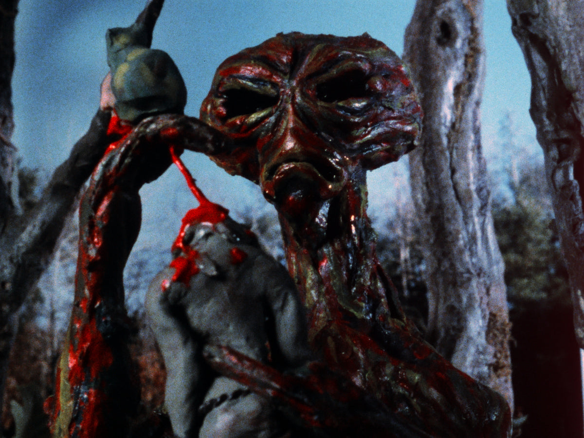 Home Grown Horrors: Volume One