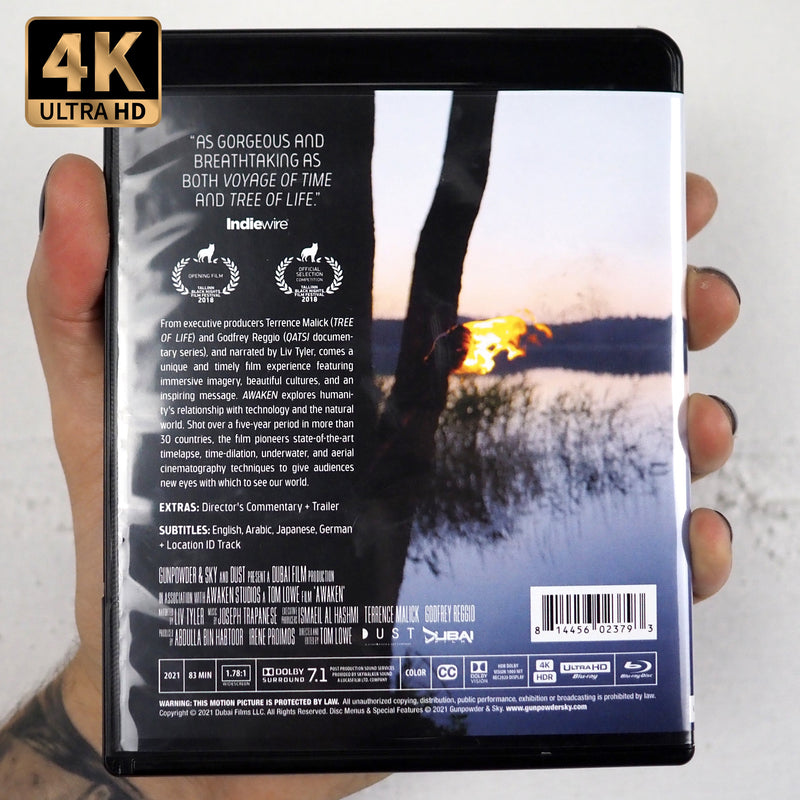  Hook [4K Ultra HD] [Blu-ray] [2018] : Movies & TV