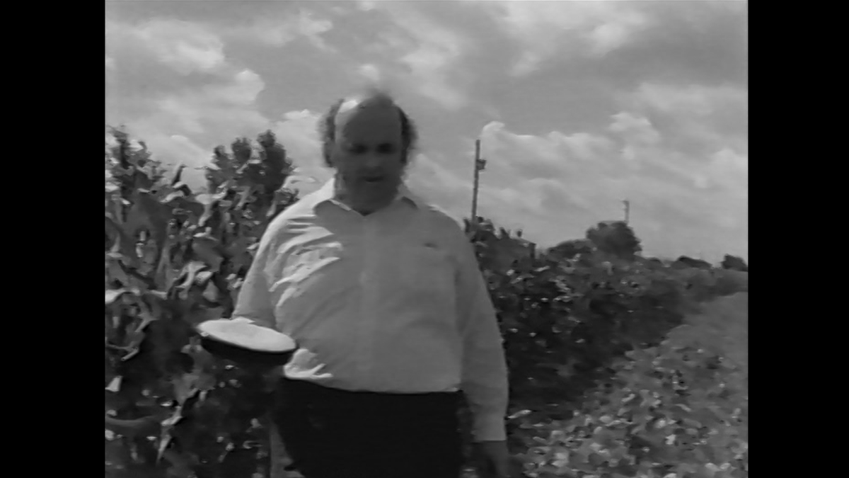 The Cornshukker