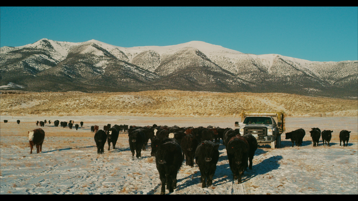 The Great Basin