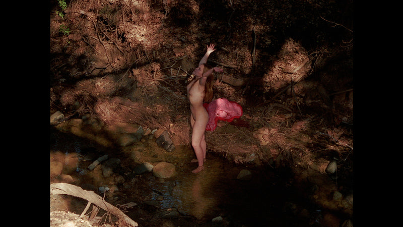 The Lost Films of Herschell Gordon Lewis