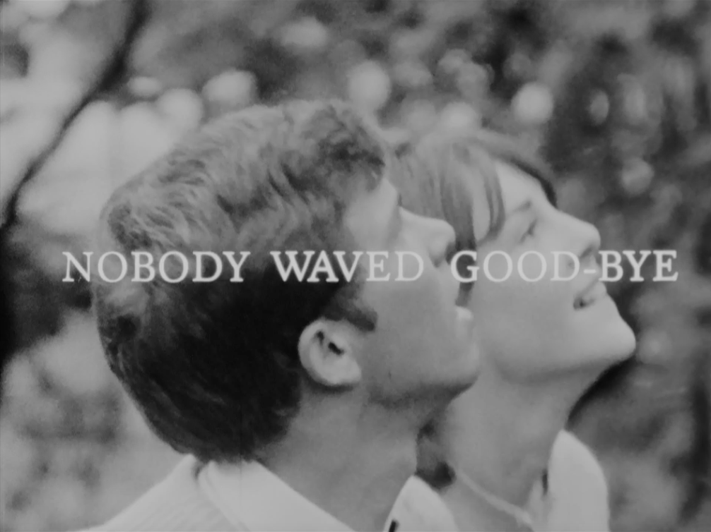 Nobody Waved Goodbye
