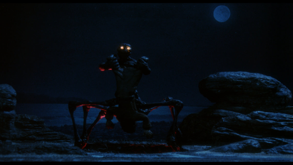 Night Train to Terror