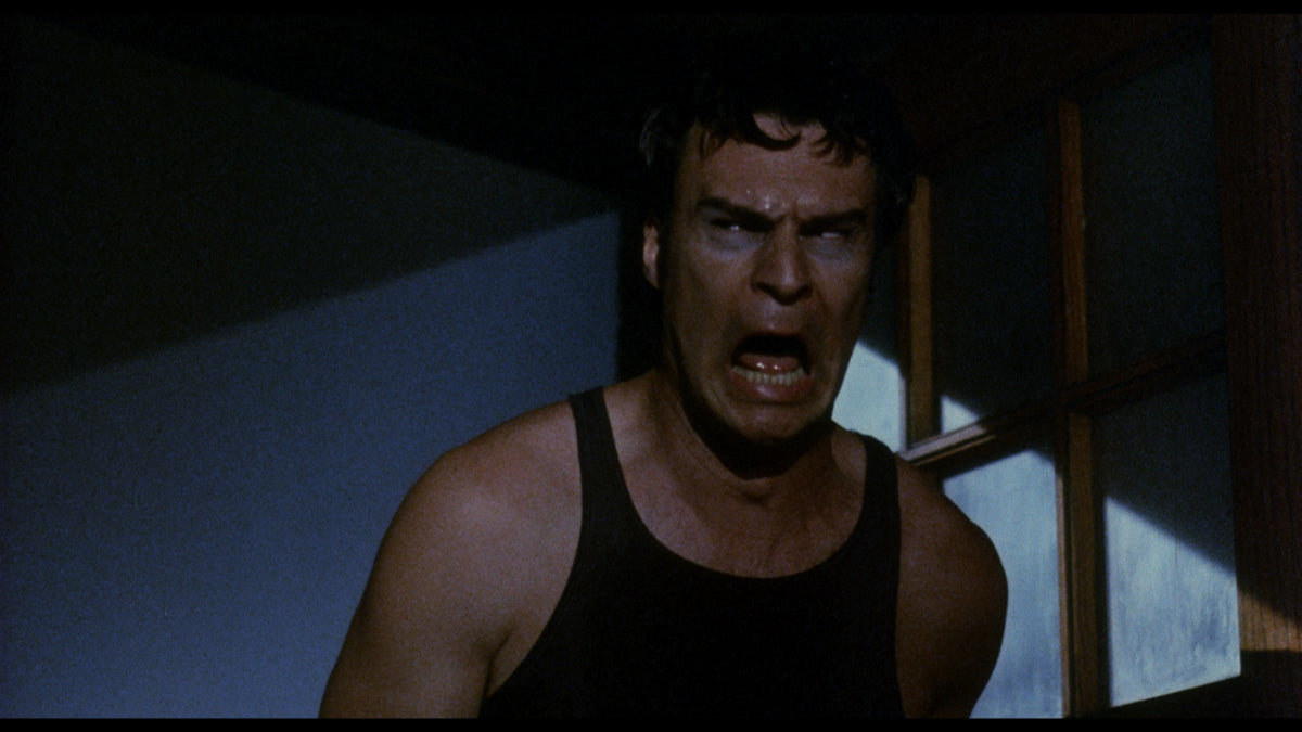 Night Train to Terror