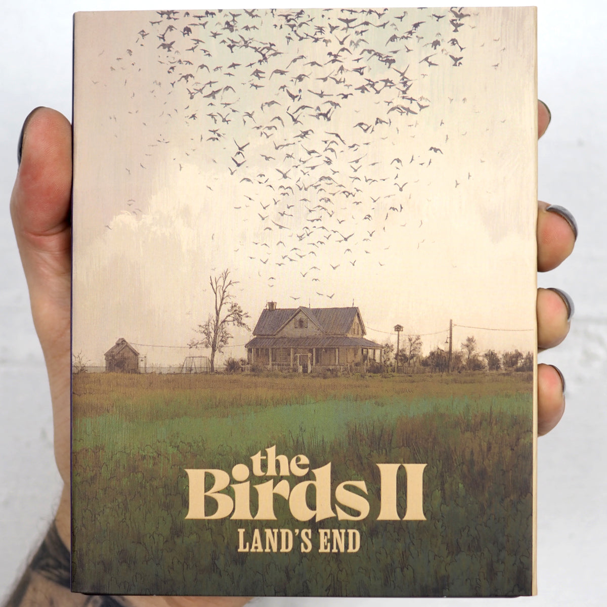 The Birds II: Land's End