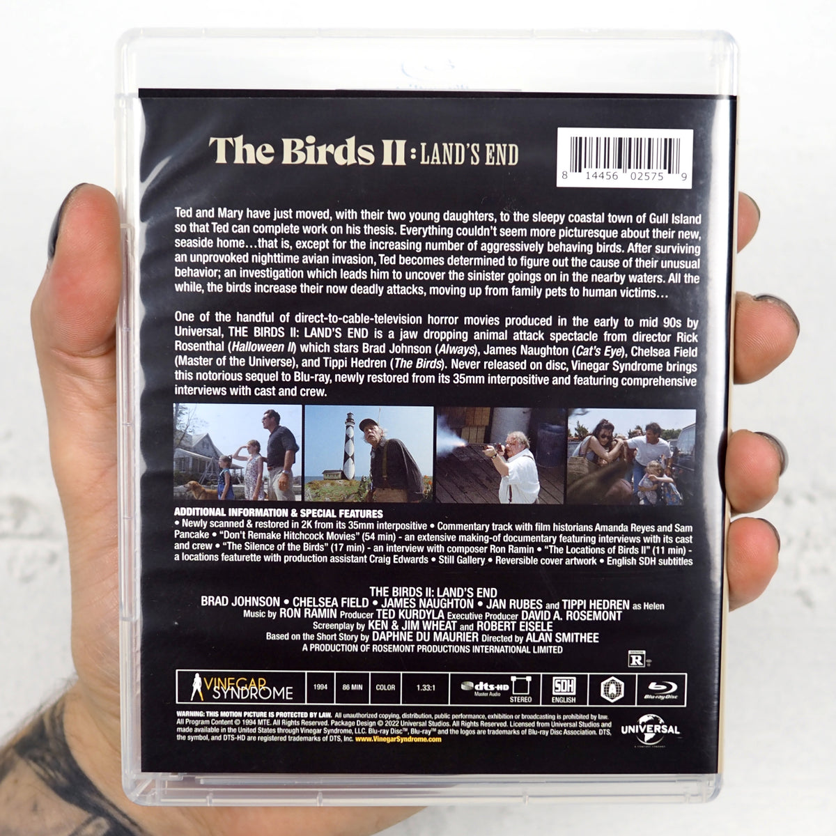 The Birds II: Land's End