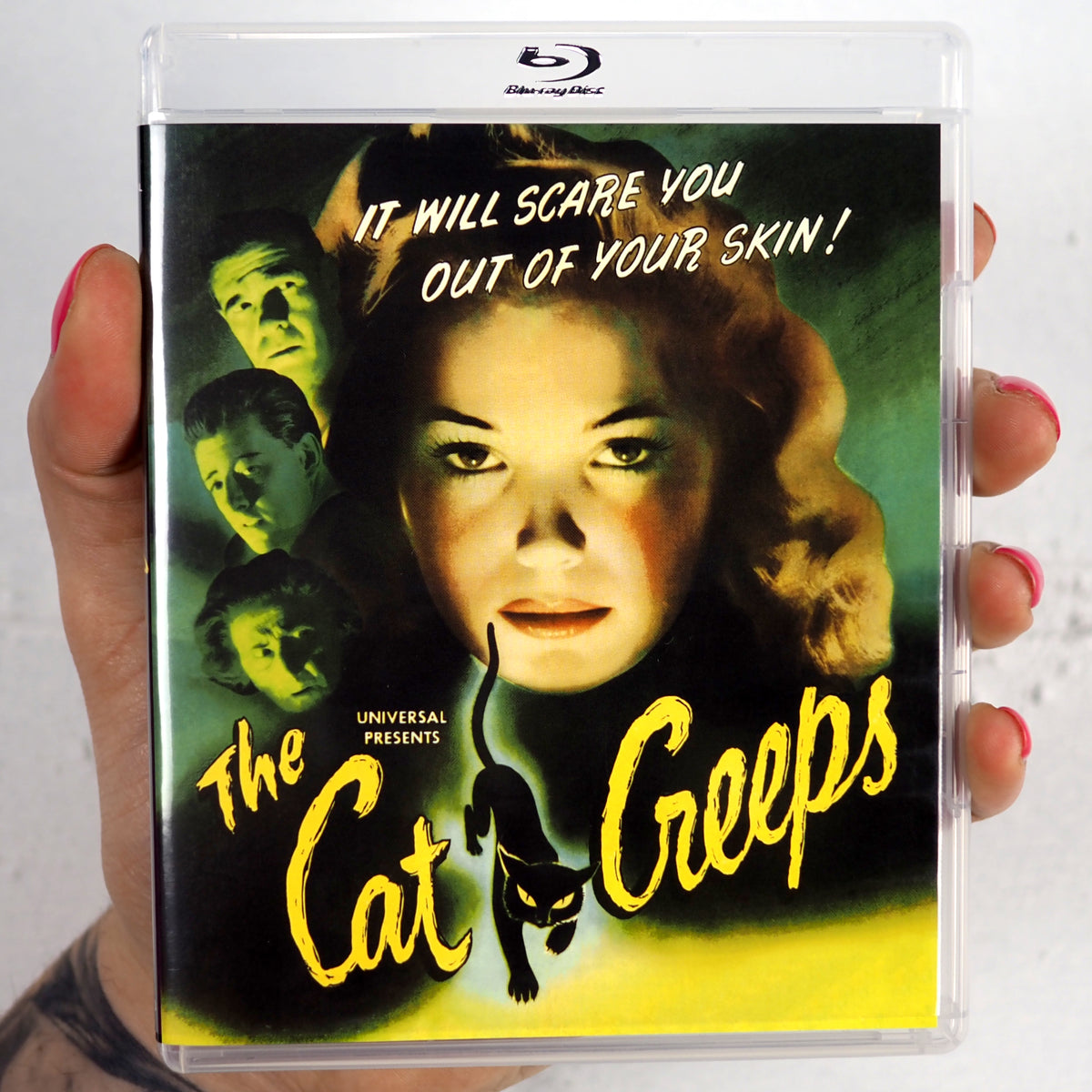 The Cat Creeps