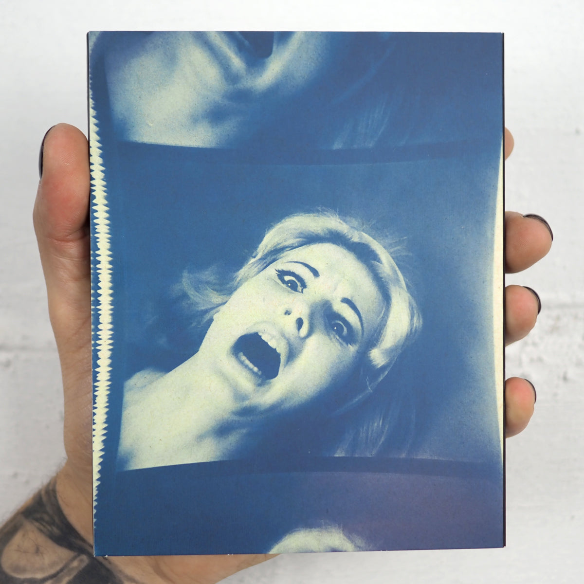 The Films of Doris Wishman: The Moonlight Years